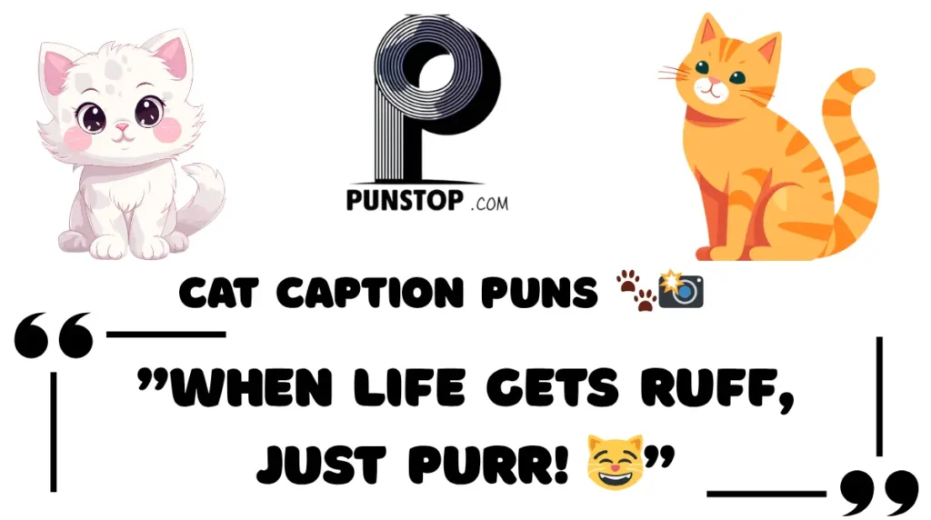 Cat Caption Puns