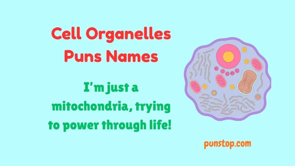 Cell Organelles Puns Names