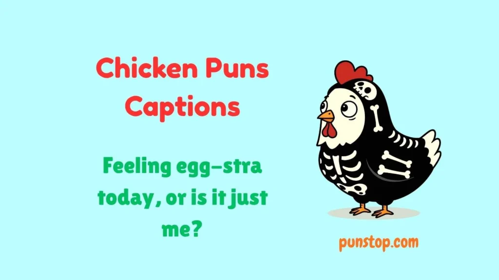 Chicken Puns Captions
