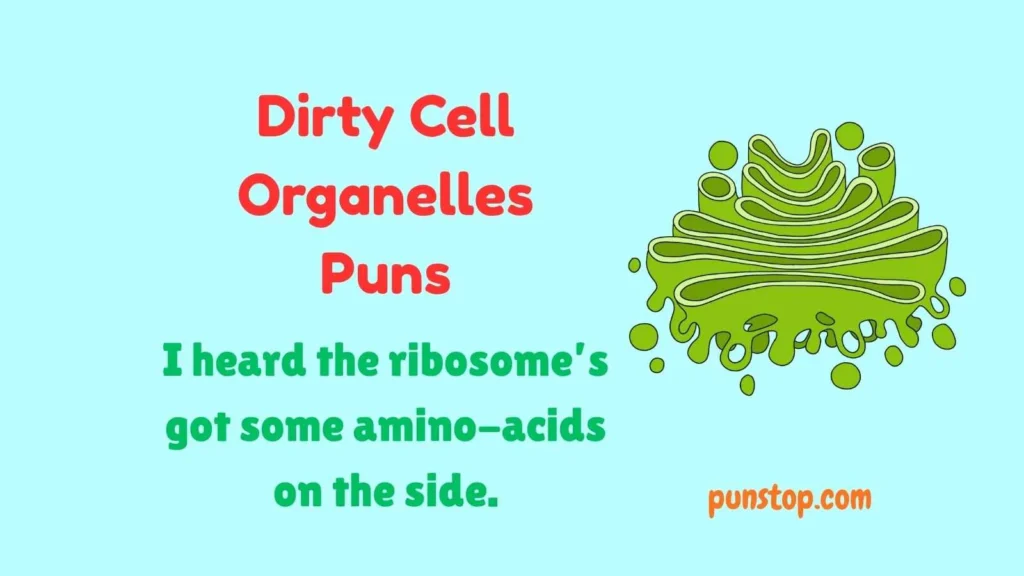 Dirty Cell Organelles Puns