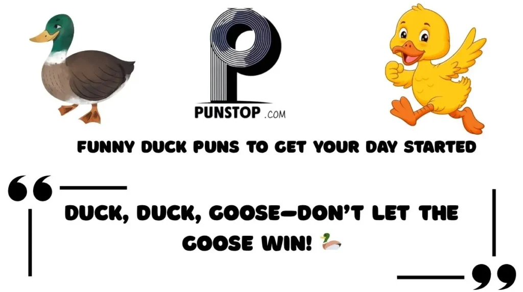 Funny Duck Puns to Get Your Day Started