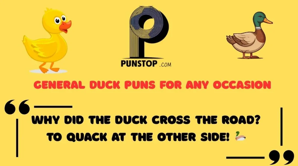 General Duck Puns for Any Occasion