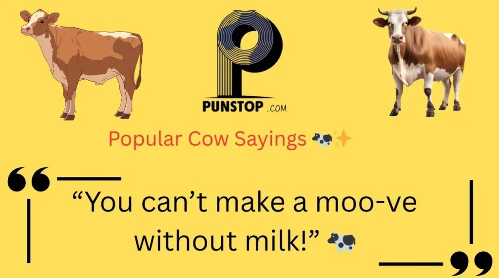 Popular Cow Sayings
