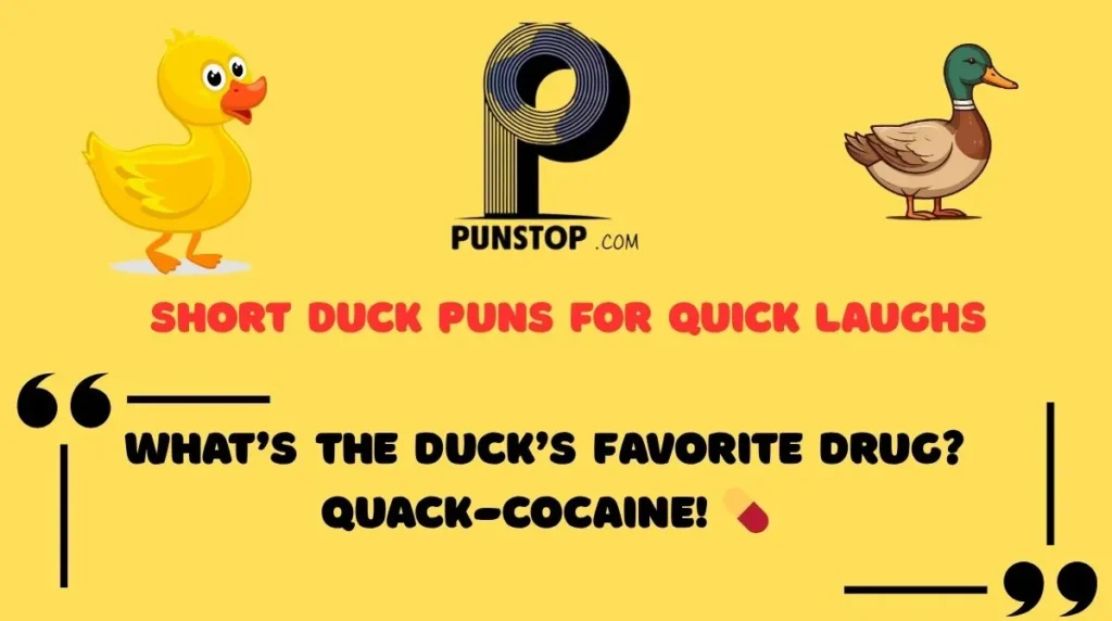 Short Duck Puns for Quick Laughs