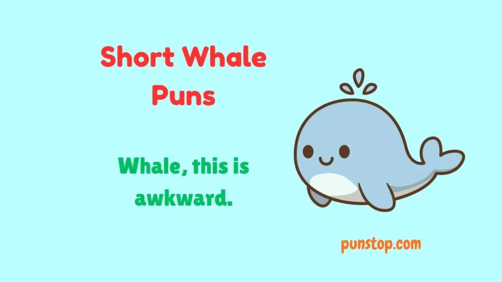 Short Whale Puns