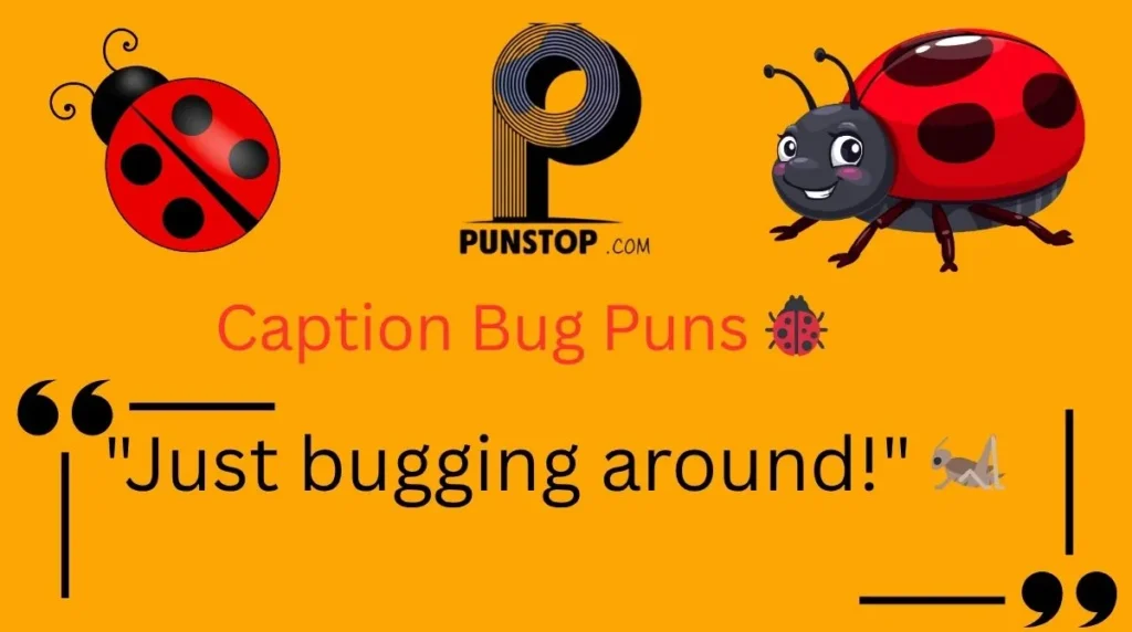 Caption Bug Puns