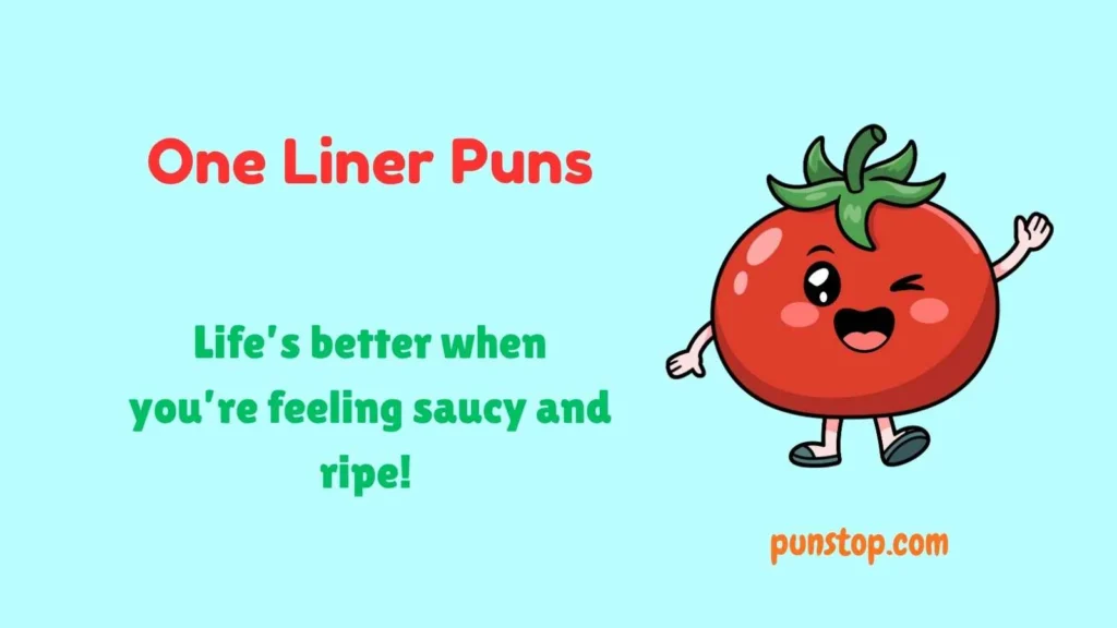 One Liner Puns