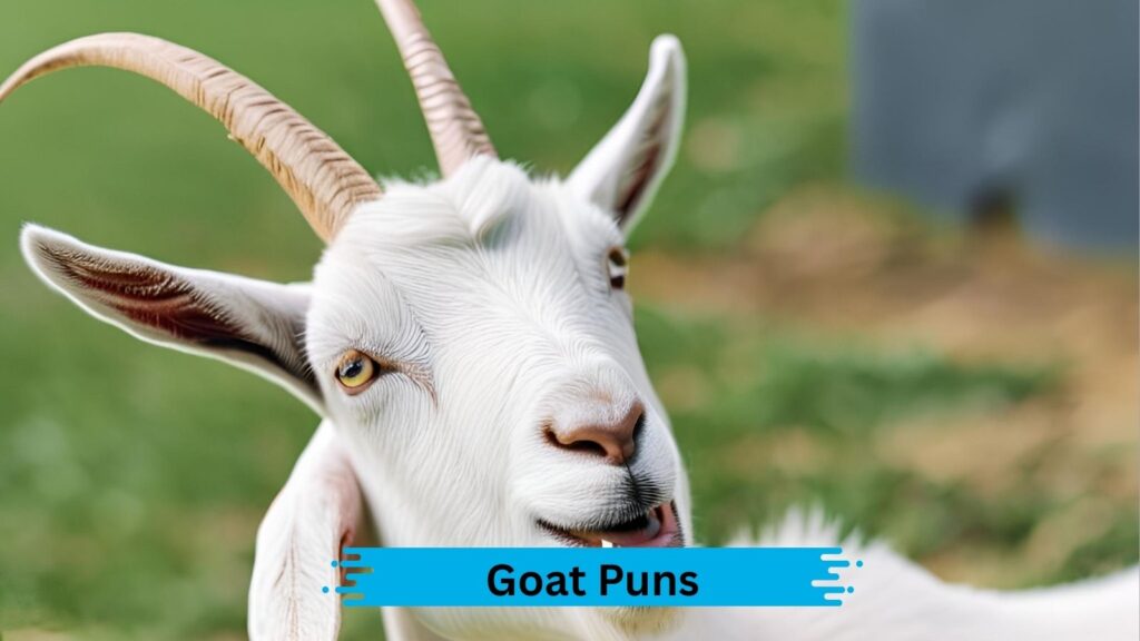 Caption Goat Puns