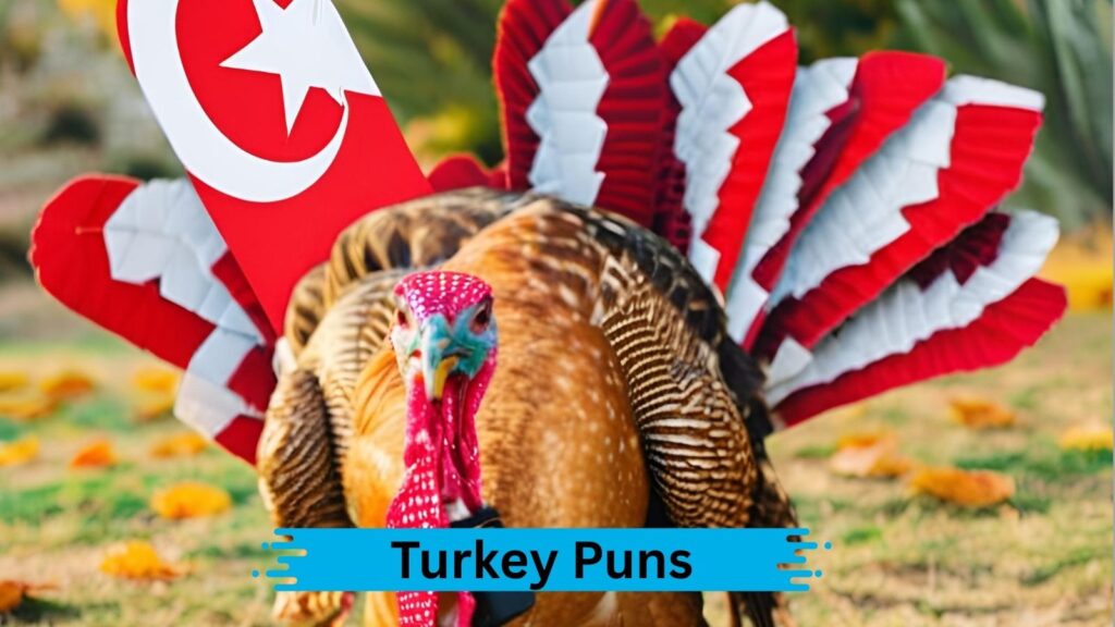 Cute Turkey Puns