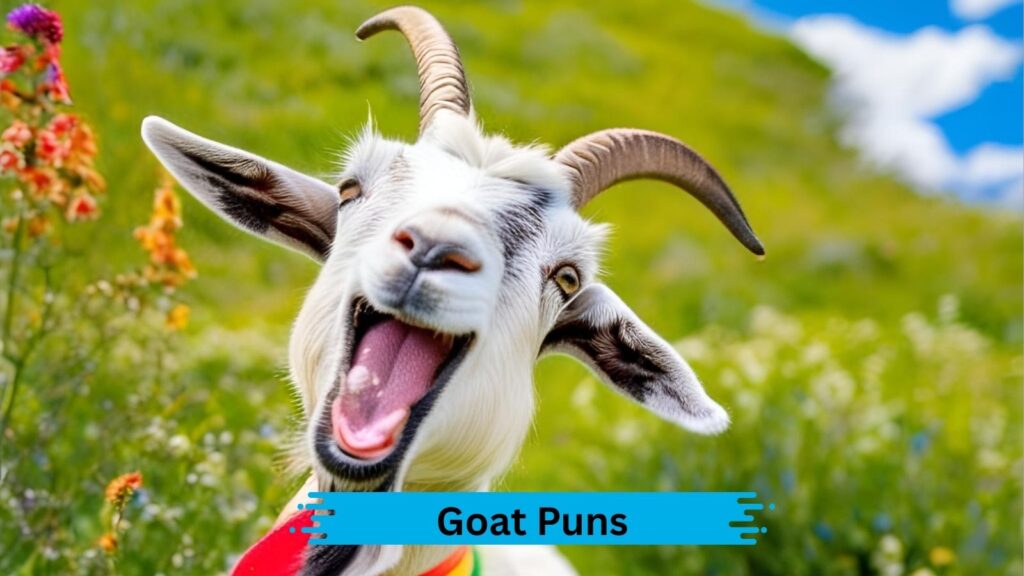 Funny Goat Puns