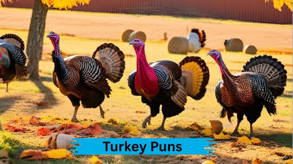 Funny Turkey Puns