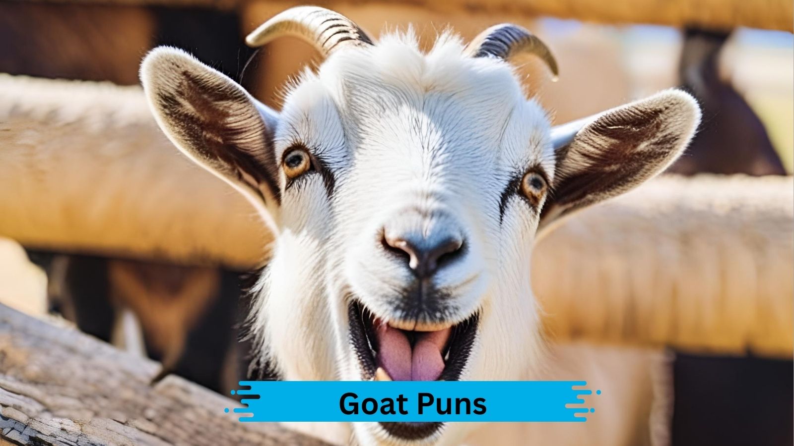 Goat Puns