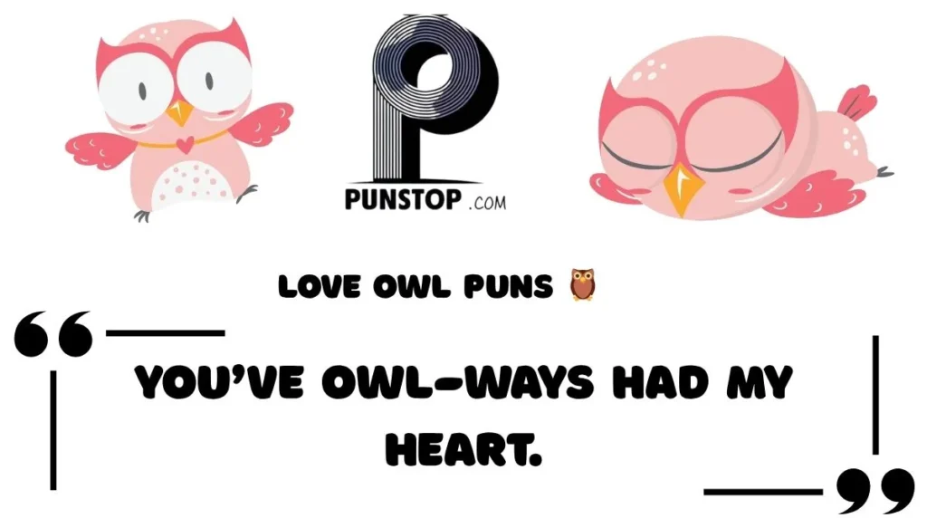 Love Owl Puns 