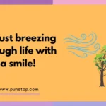 Air Puns