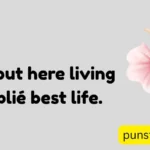 Ballet Puns