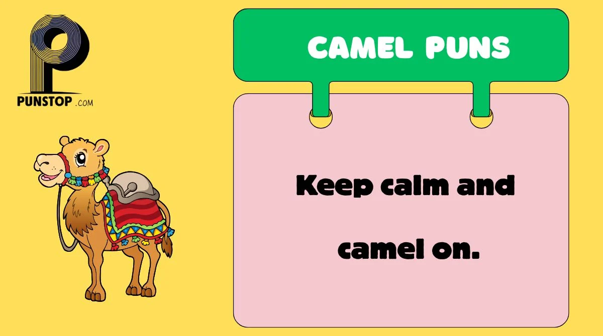 Camel Puns