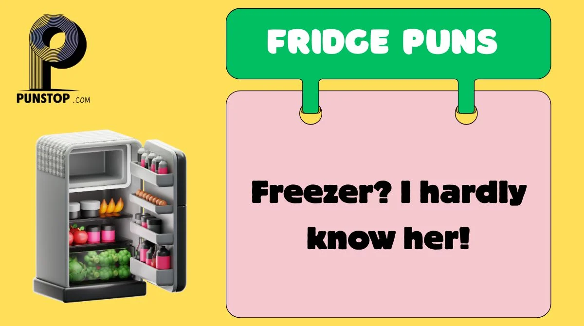 Fridge Puns