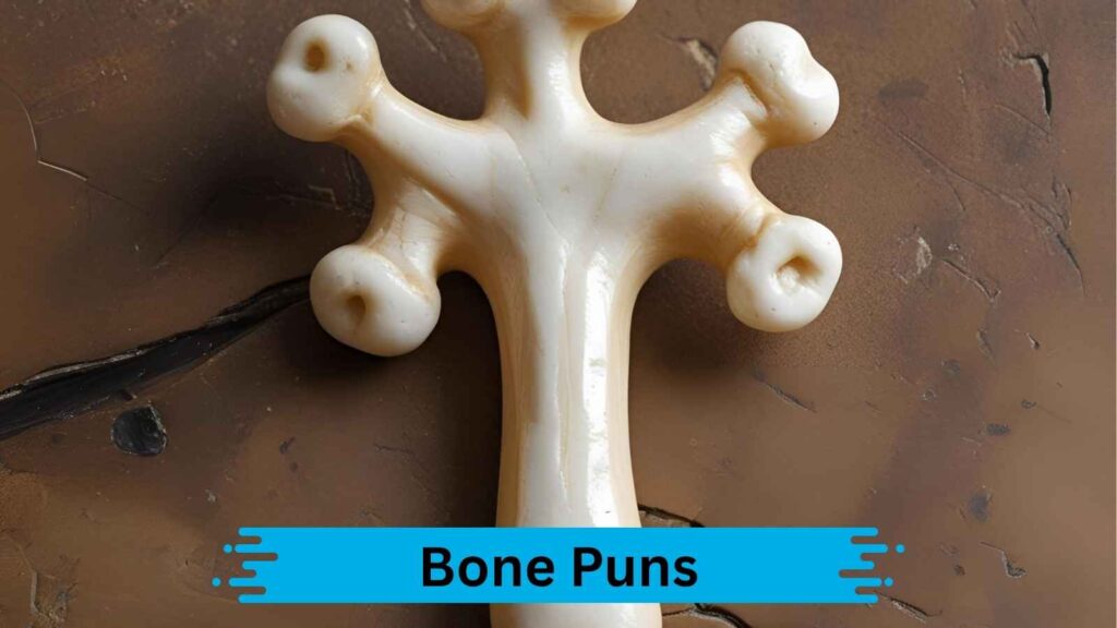 Funny Bone Puns