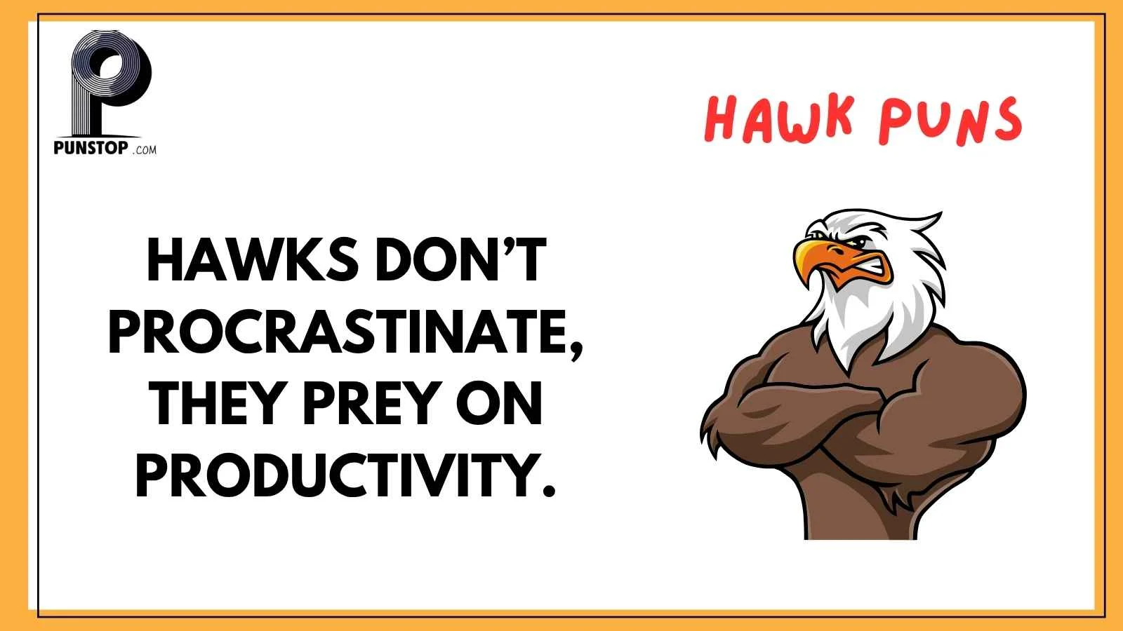 Hawk Puns