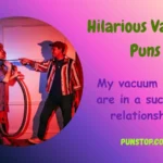 Hilarious Vacuum Puns