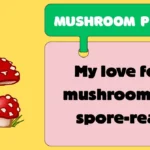Mushroom Puns