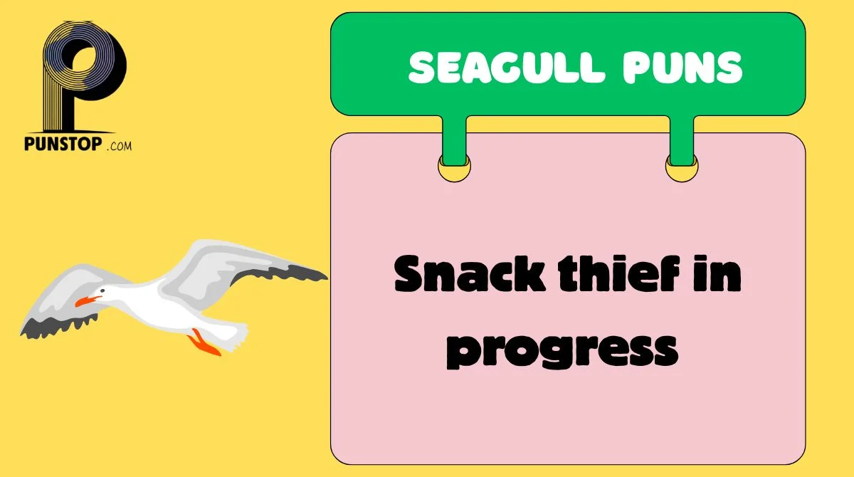 Seagull Puns