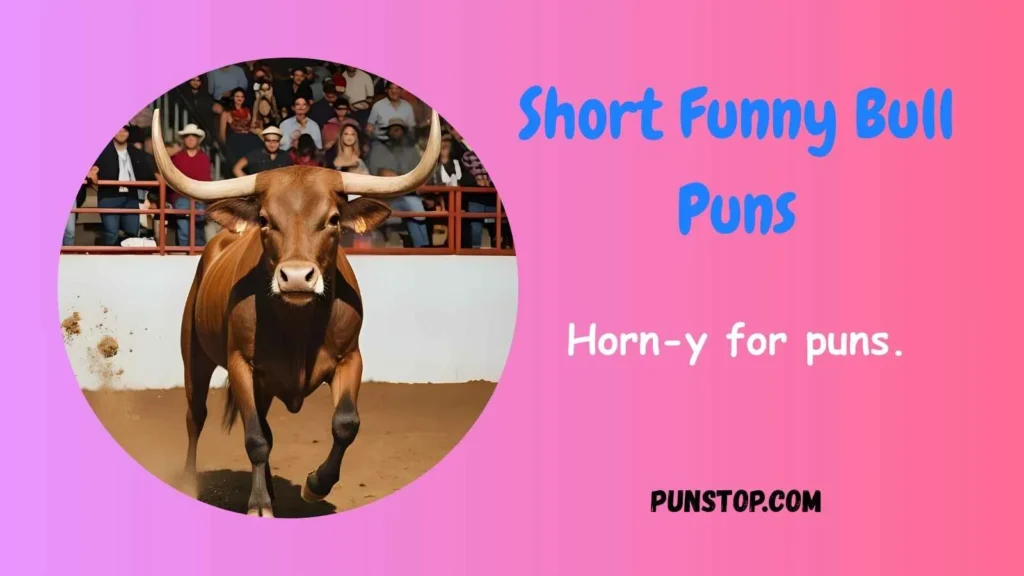 Short Funny Bull Puns