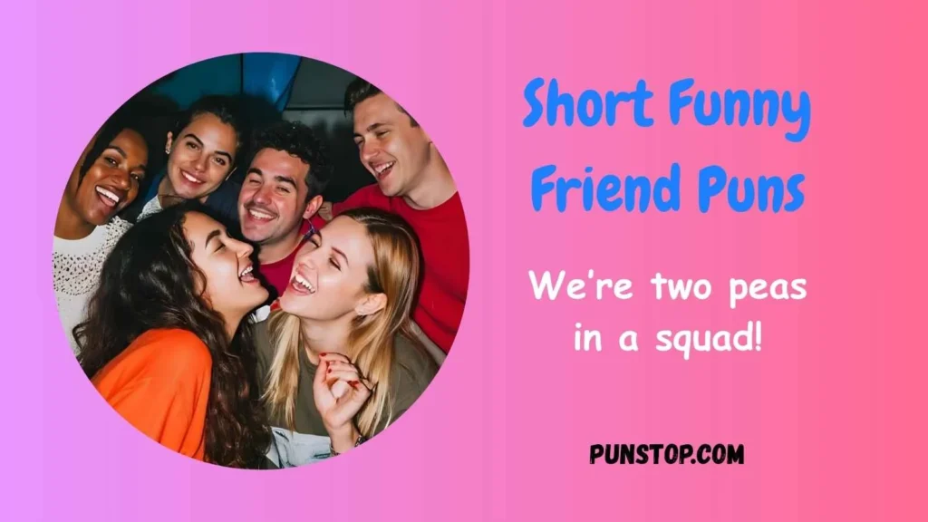 Short Funny Friend Puns