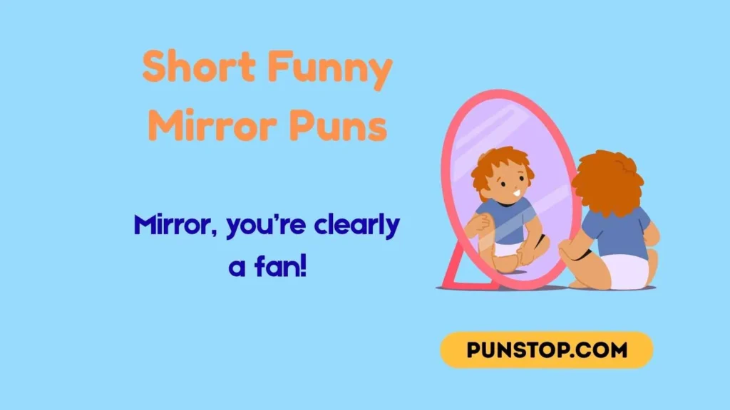 Short Funny Mirror Puns