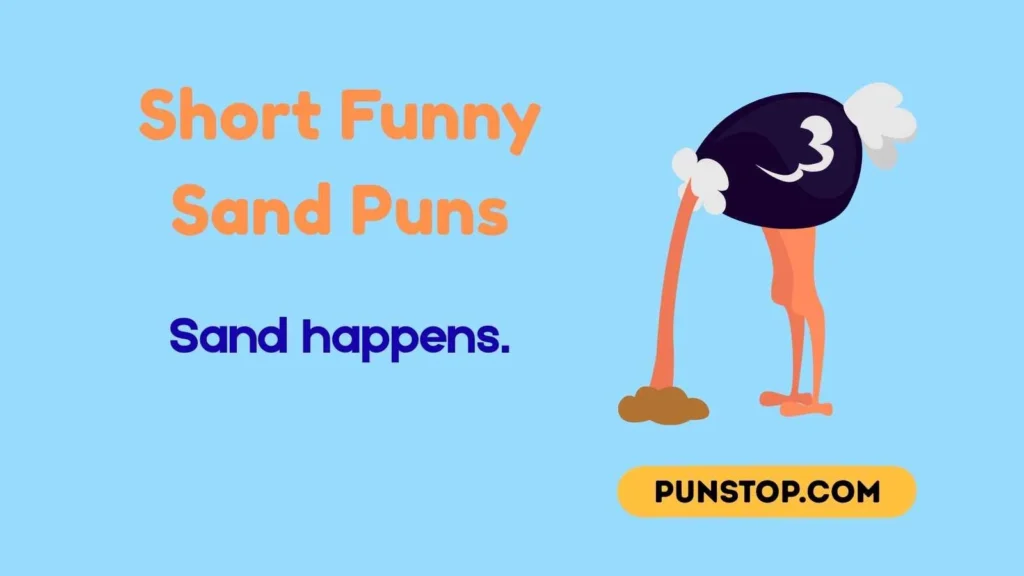 Short Funny Sand Puns