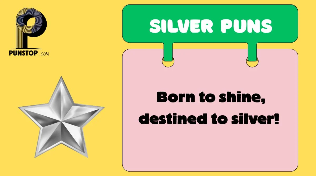 Silver Puns