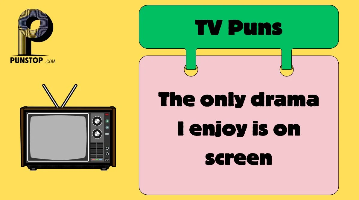 TV Puns