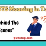 BTS meaning in text