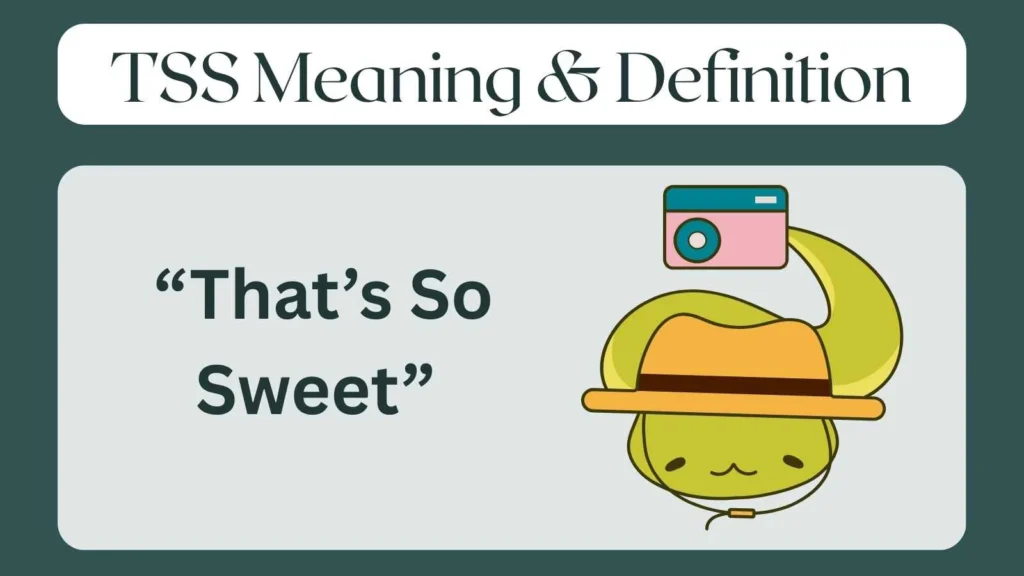 TSS Meaning & Definition