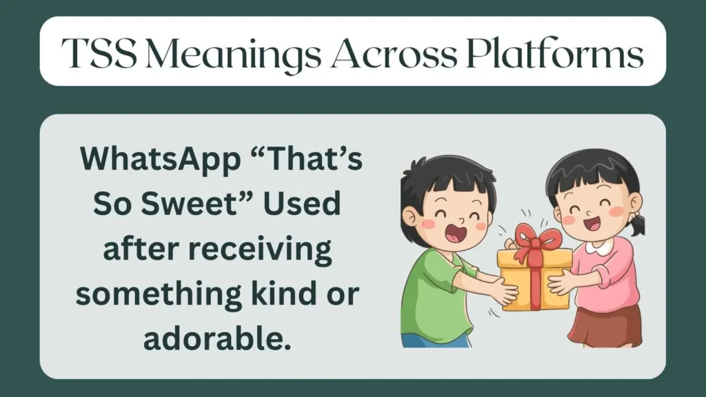 TSS Meanings Across Platforms
