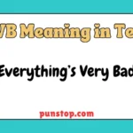 evb meaning in text