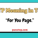fyp meaning in text