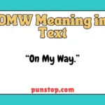 OMW Meaning in Text