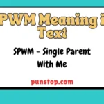 SPWM meaning in text